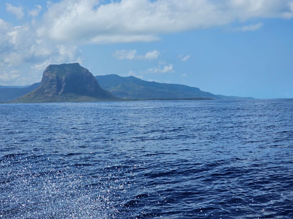 Mauritius, wieloryby