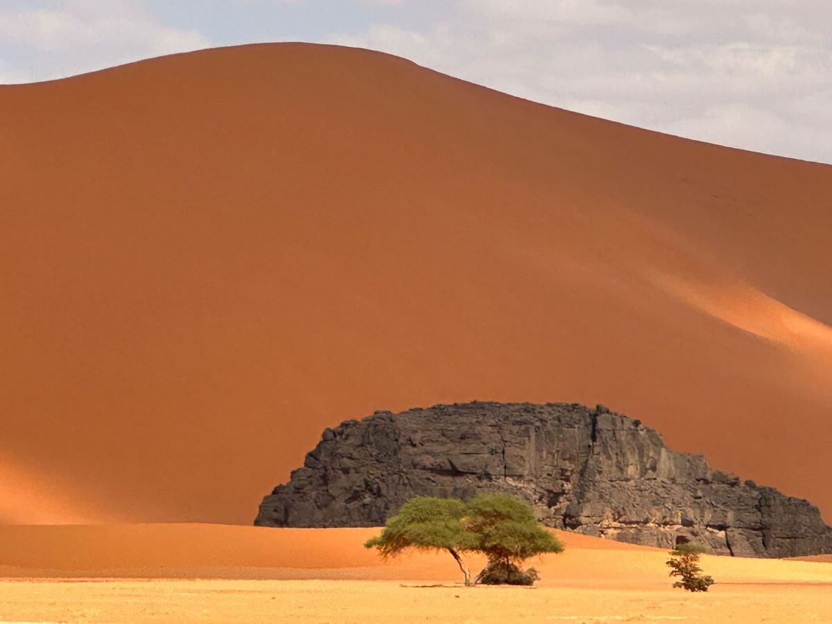 sahara, algieria