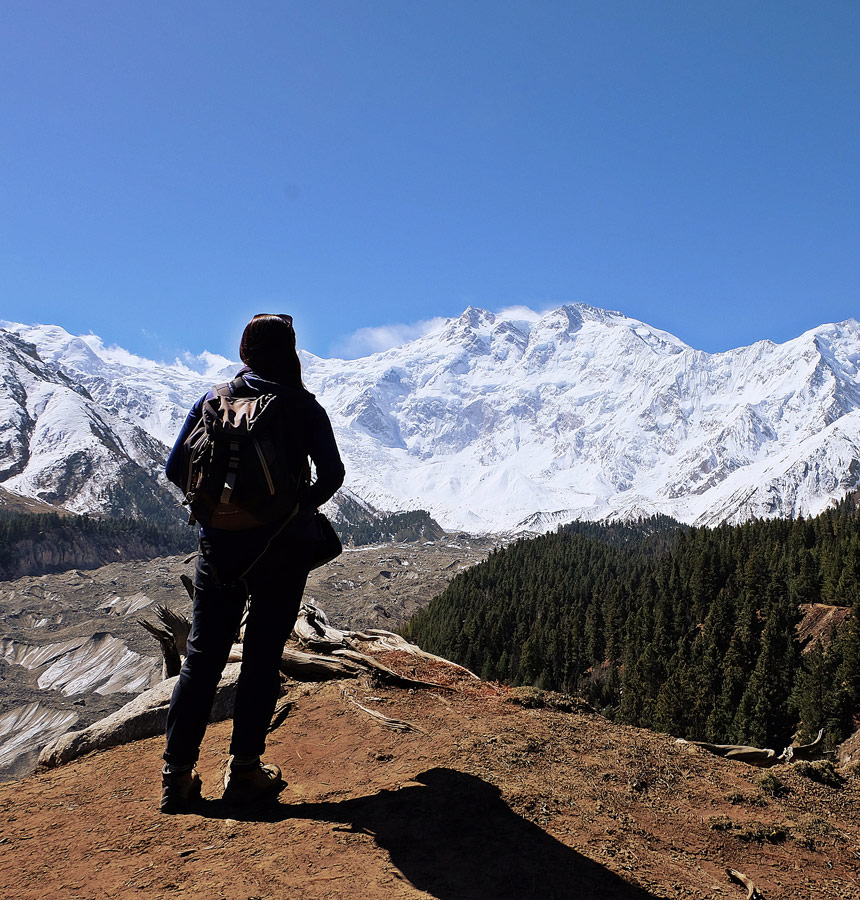 This image for Image Layouts addon